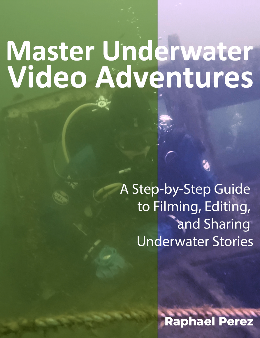 So… I finally wrote the book I wish I had years ago